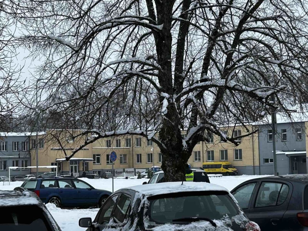 „Saulės“ gimnazijoje vyko valstybinio lygio pratybos