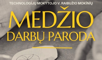 Mokytojo Viktoro Raibužio mokinių medžio darbų paroda