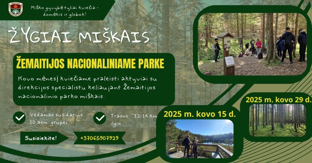 Žygiai miškais